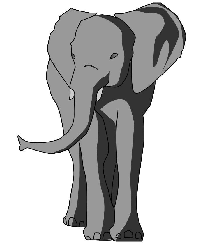 elephant trop beau